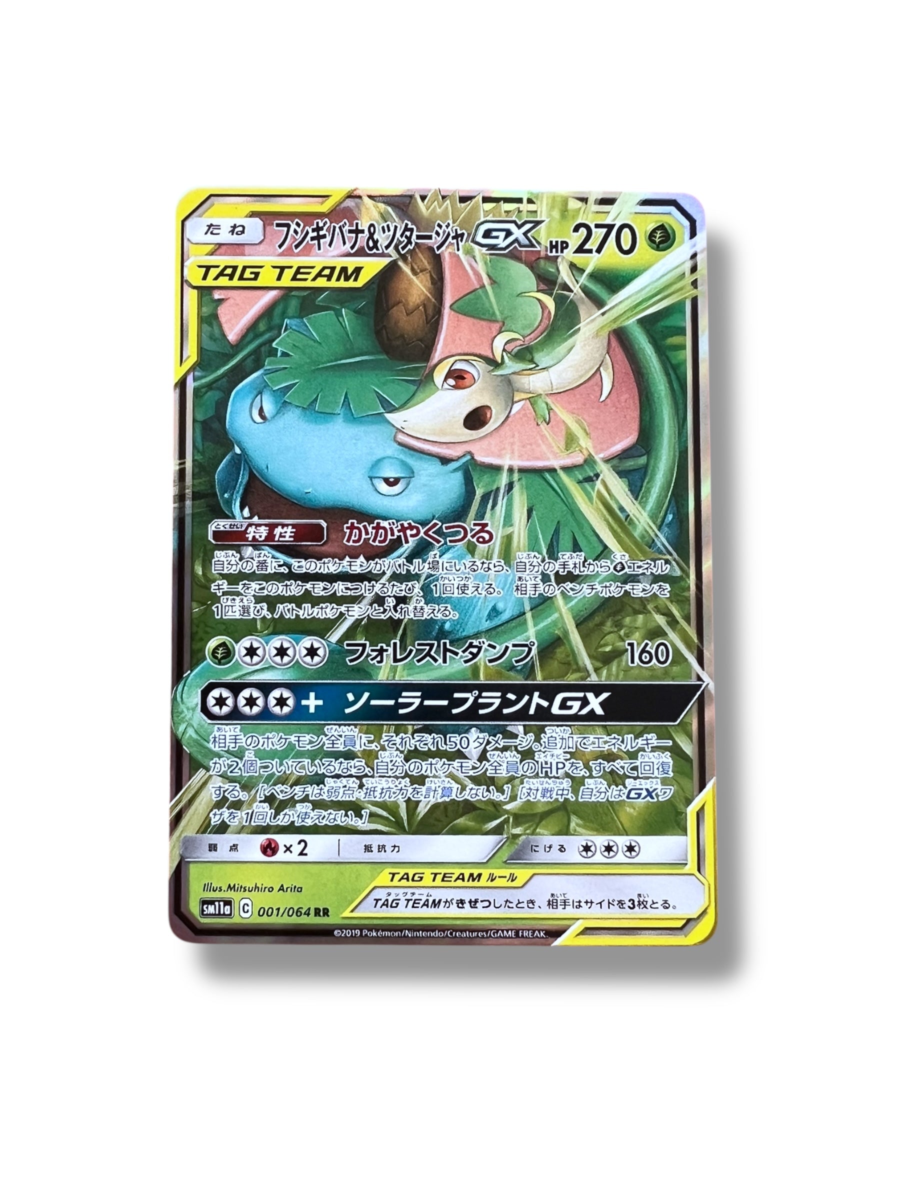 JPN Venusaur & Snivy 001/064
