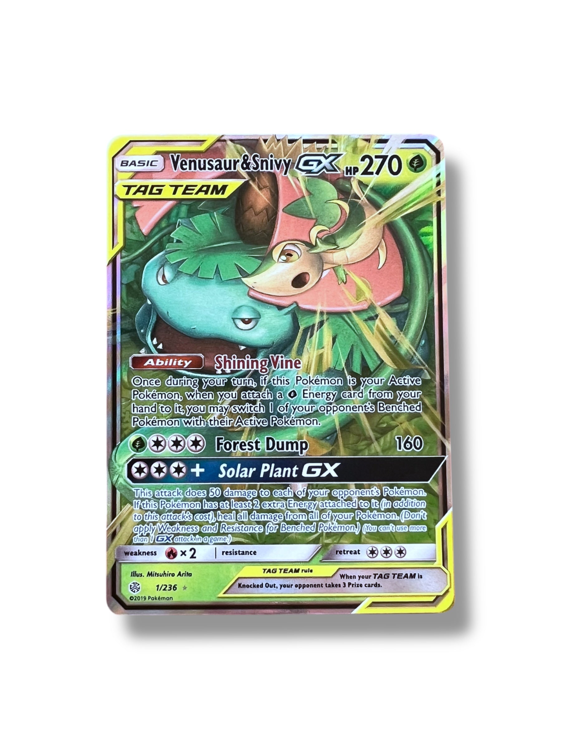 JPN Venusaur & Snivy 001/064