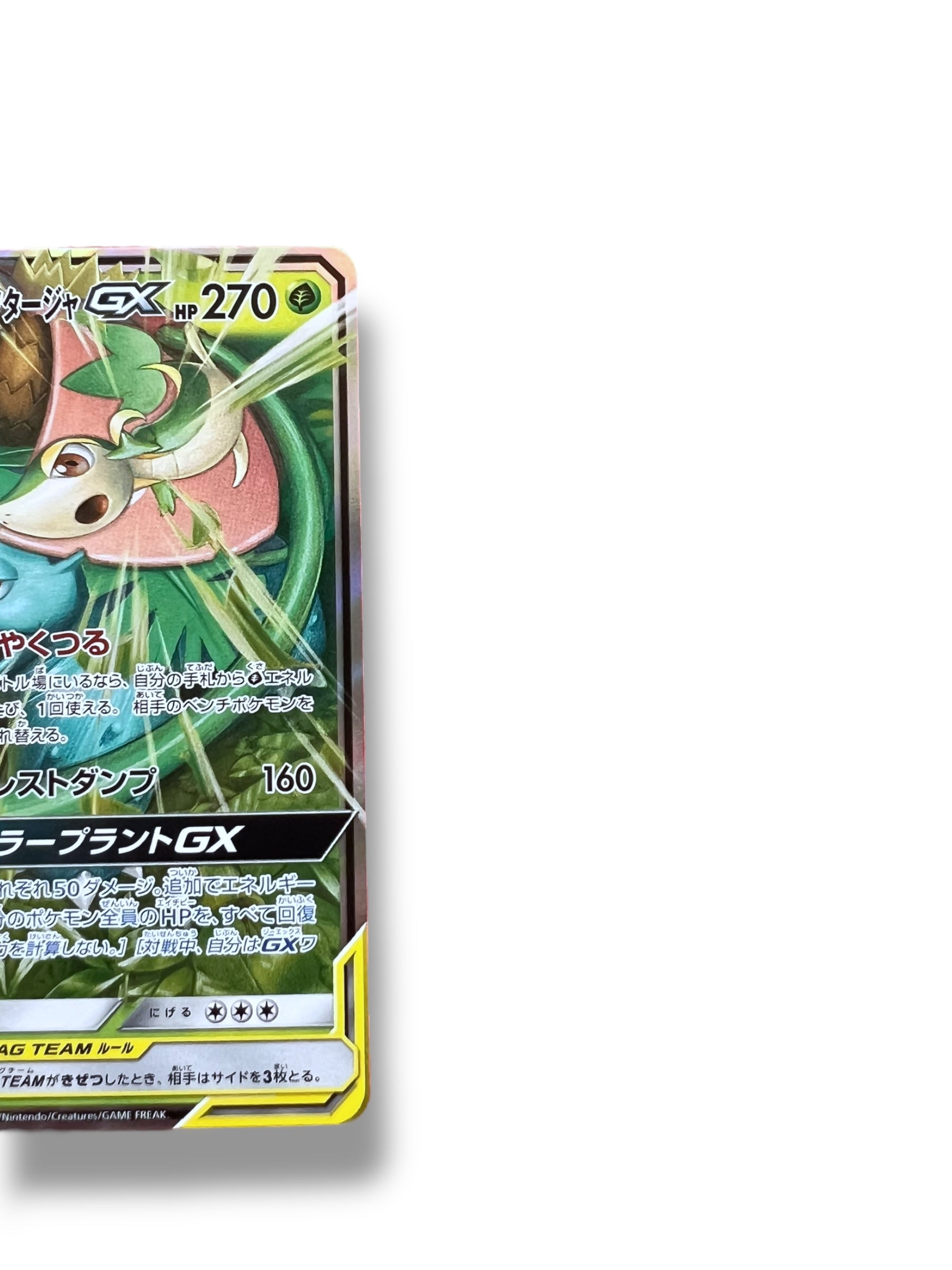 JPN Venusaur & Snivy 001/064