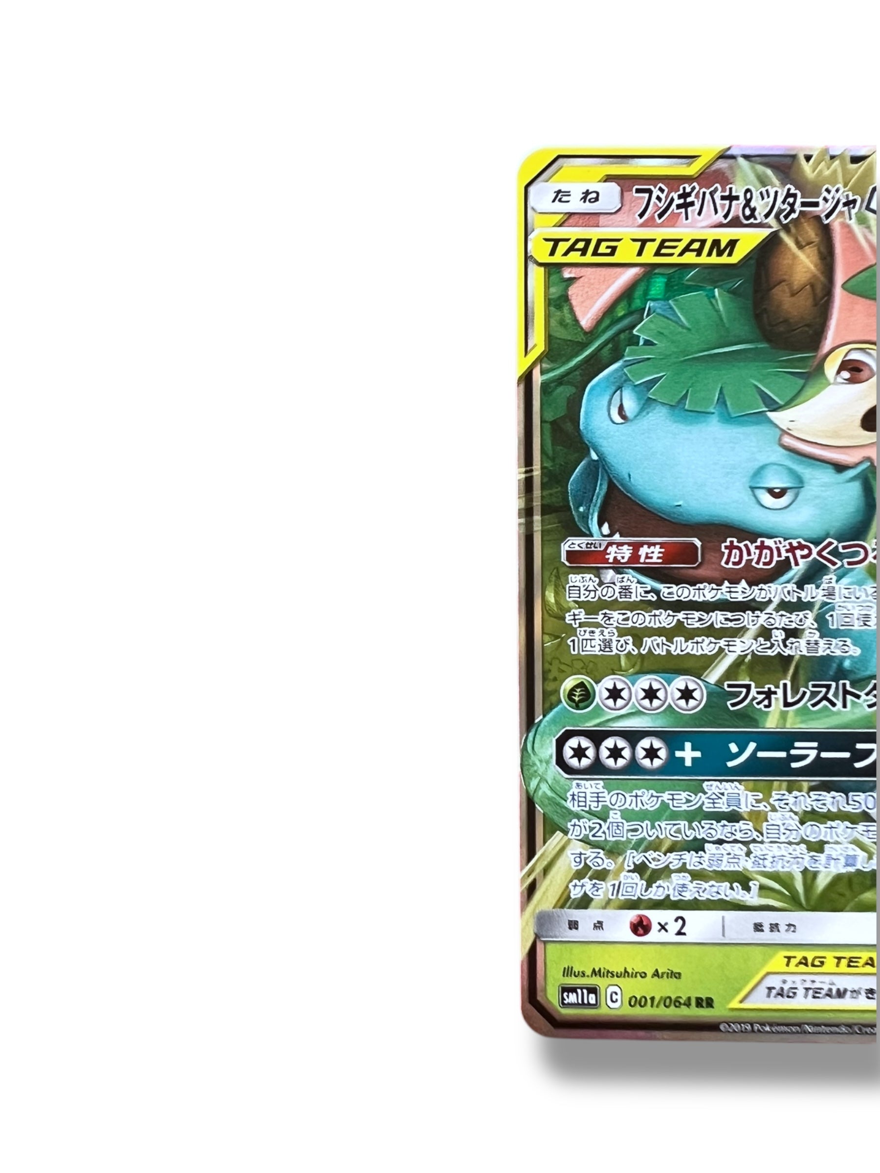 JPN Venusaur & Snivy 001/064