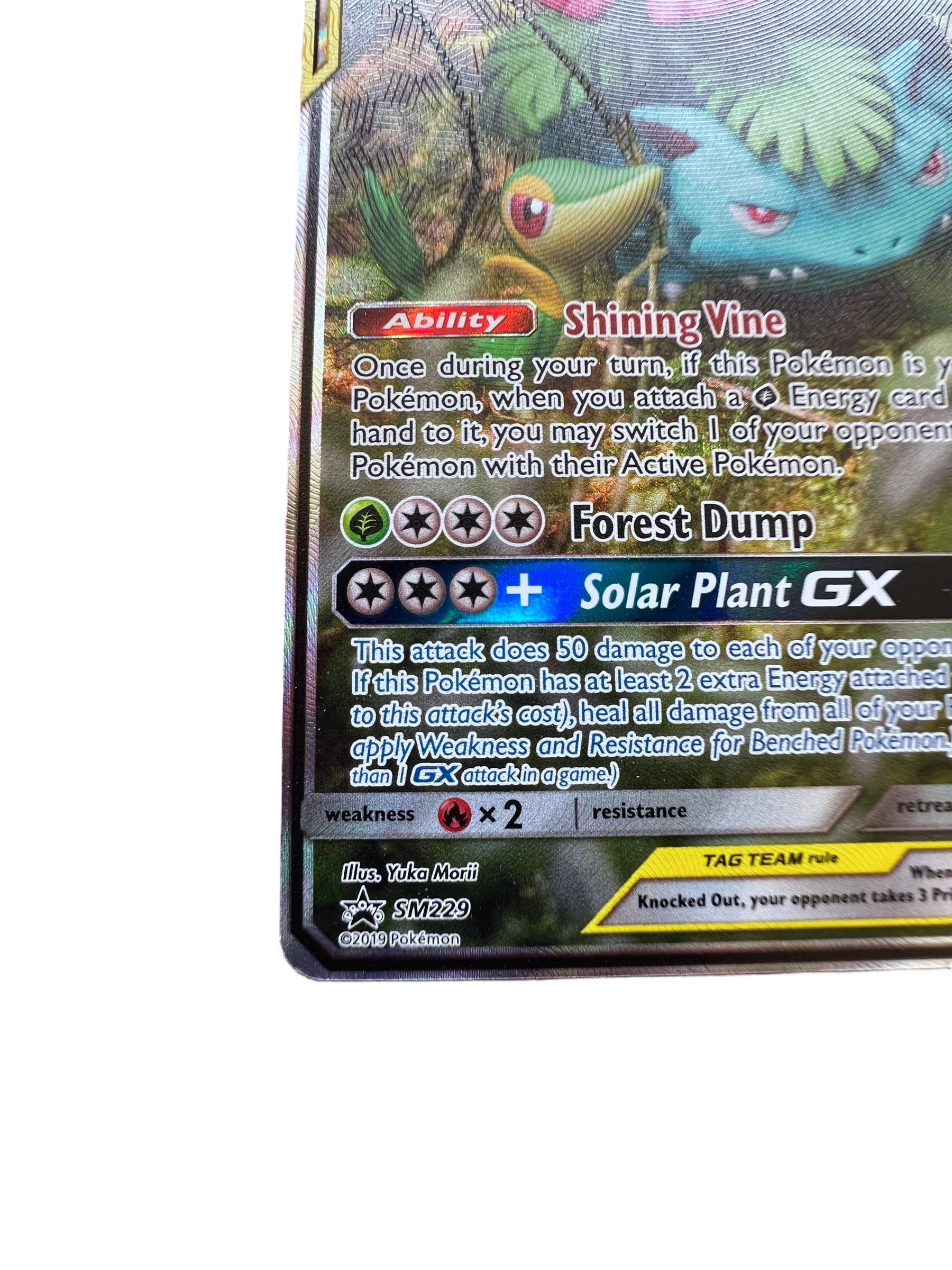 Pokémon TCG: Venusaur & Snivy GX – SM229 Promo (Tag Team, Full Art) [NM]