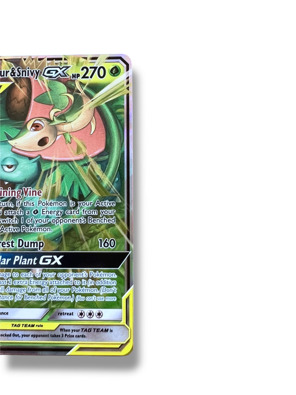 JPN Venusaur & Snivy 001/064