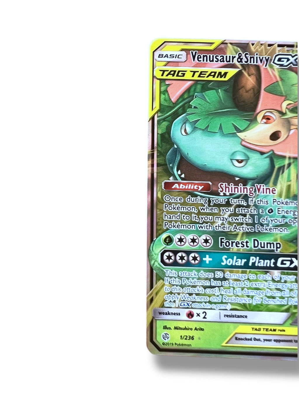 JPN Venusaur & Snivy 001/064